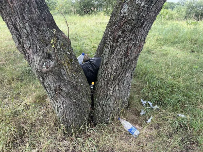 Отдыхали \