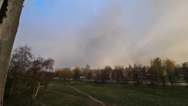 Дожь+солнце = радуга