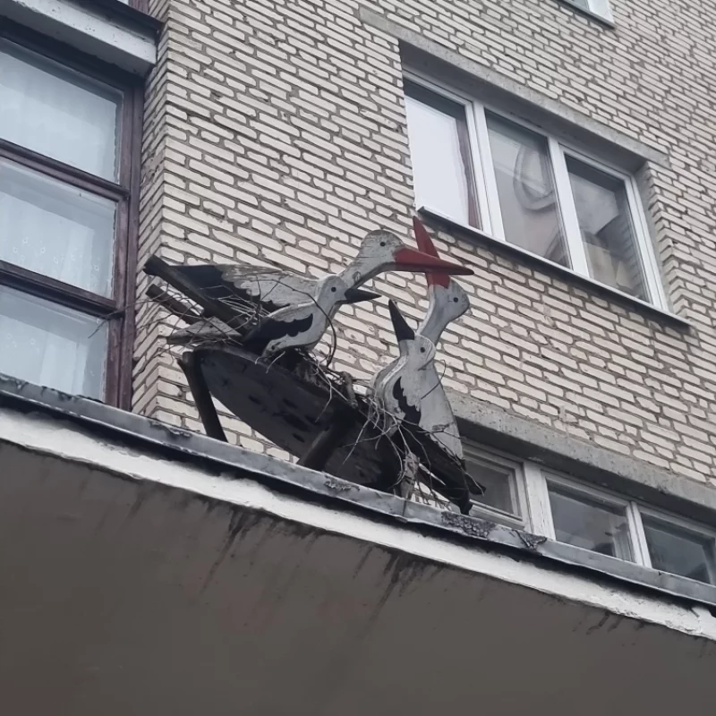 Хорошая фантазия жильцов этого подъезда