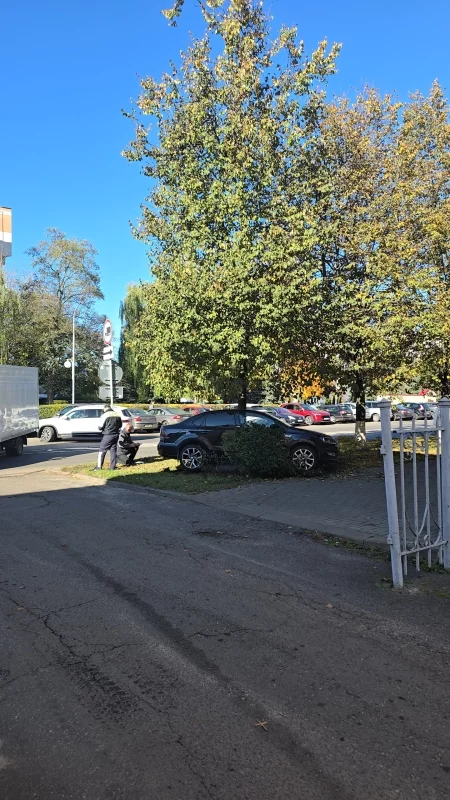 Авария. Припарковался под деревом.
