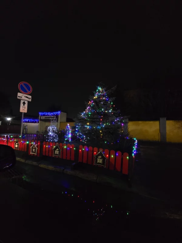 Новогодни украшения у завода ДОМОЧАЙ.