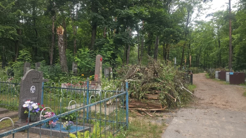 На Минском кладбище идёт уборка поваленных деревьев