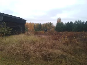 Дом -дачу (почти даром)