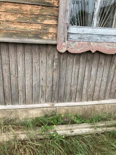 Дом в д. Михалёва-2