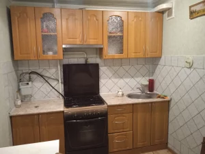 Однушку в центре