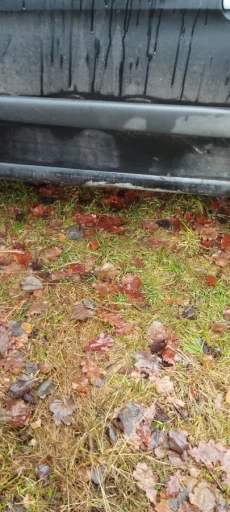 Ситроен Ксара пикассо