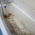 Реставрация ванн жидким акрилом