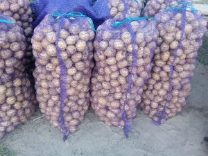 Картофель для еды