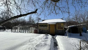 Дачу в СТ «Радуга» 2км от Бобруйска