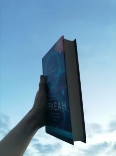 Книга Орлеан. Лия Стеффи