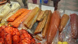 Ярмарки рыбы и деликатесов открылись в Орше, Бобруйске и Минске