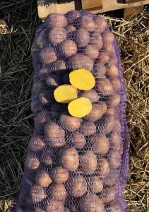 Домашний картофель. АКЦИЯ