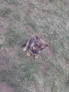 Бесплатно роздаем