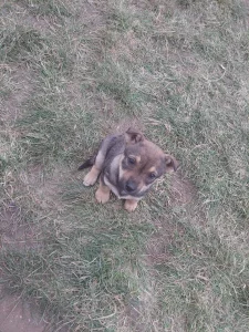 Бесплатно роздаем