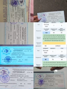 Русский язык. Подготовка к ЦЭ и ЕГЭ