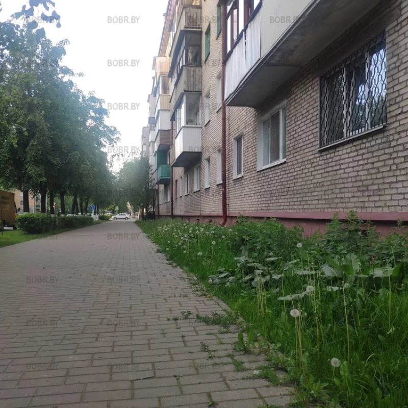 Самый центр города, улица октябрьская, а трава не скошена, выросла по-калено