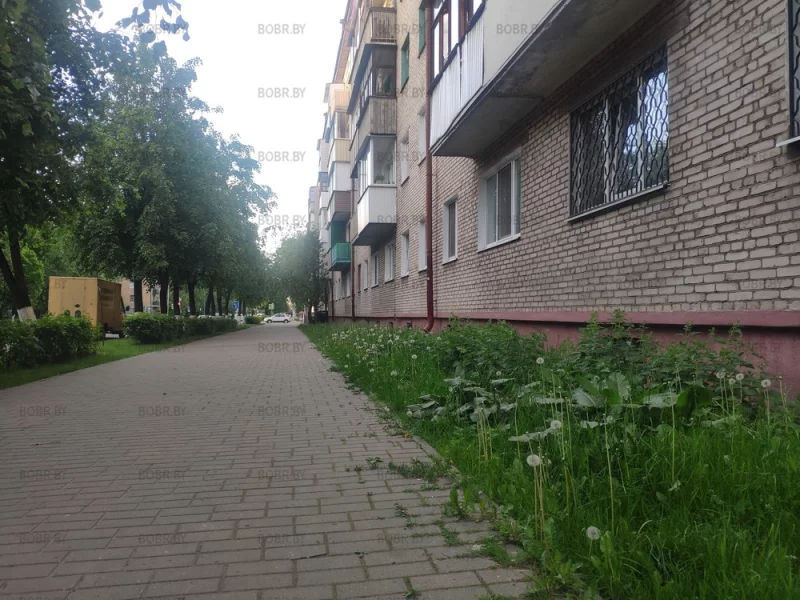 Самый центр города, улица октябрьская, а трава не скошена, выросла по-калено