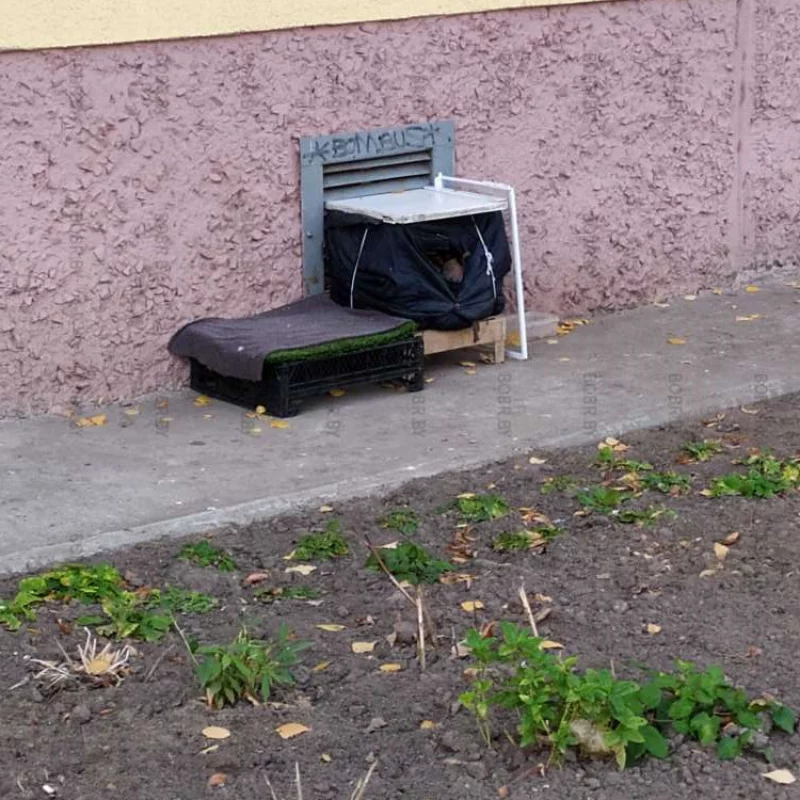 Дом для котиков