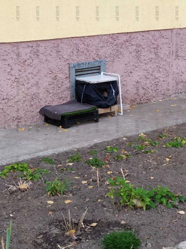 Дом для котиков