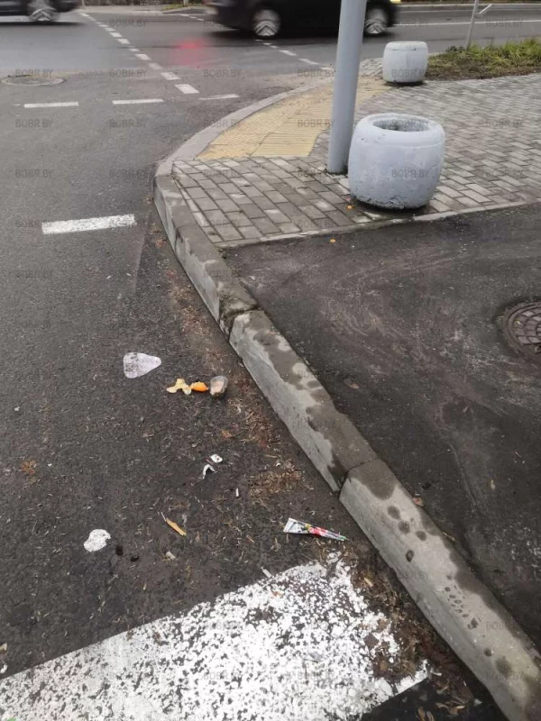 На каждом шагу мусорки, но люди всеравно сорят... 