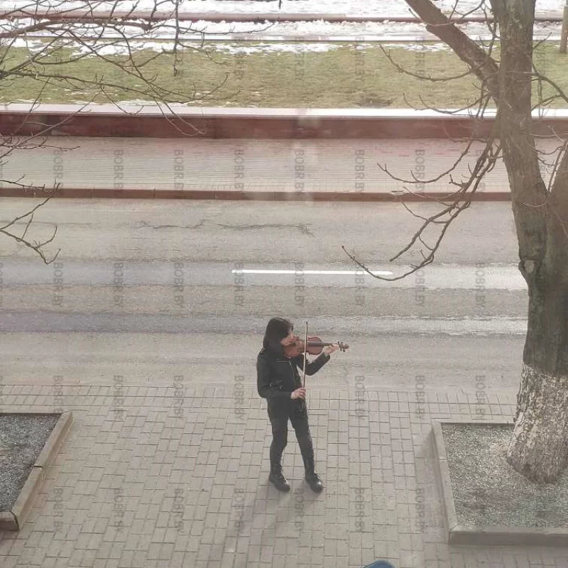 Бобруйские таланты