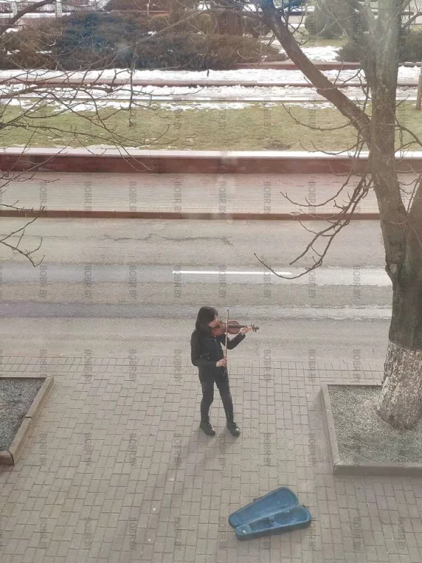 Бобруйские таланты