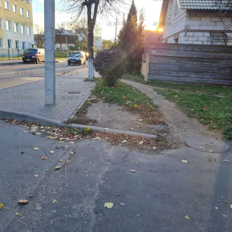 Если государство не может сделать безбарьерную среду, то люди сами вытопчут тропинки в обход бордюров