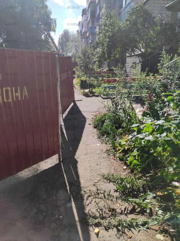 Работата БТС, всё для людей не пройти 