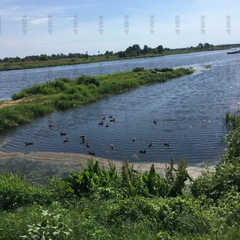 Река Березина 