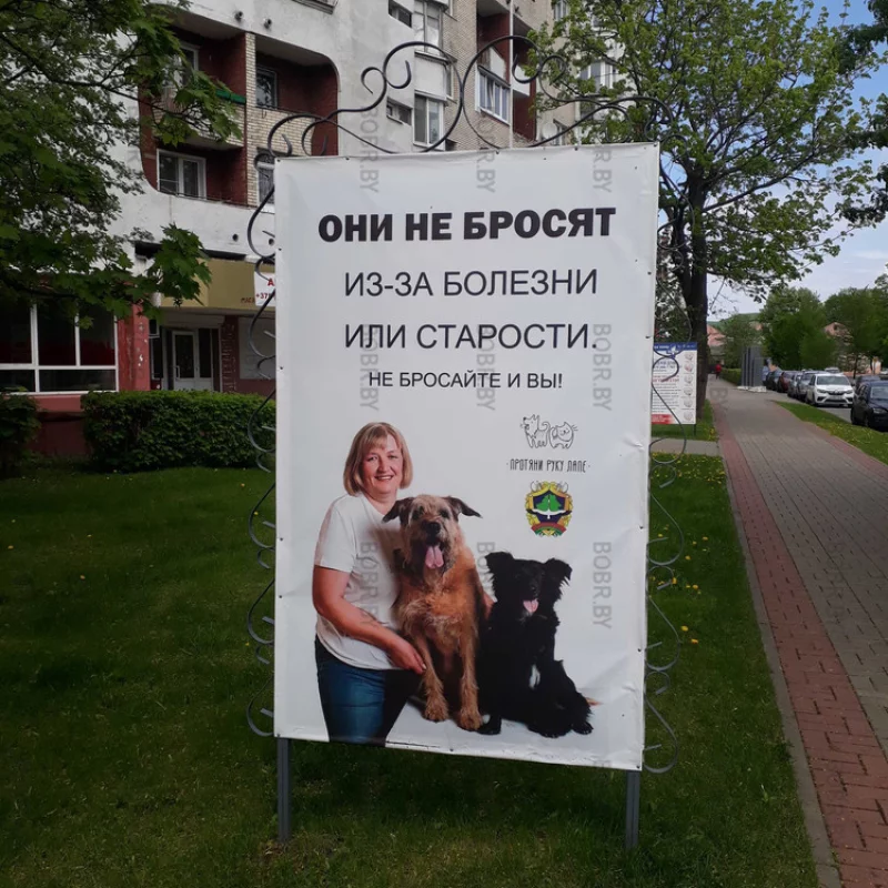 Дискриминация котов))