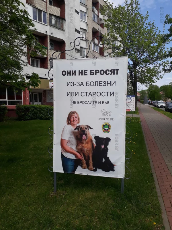 Дискриминация котов))