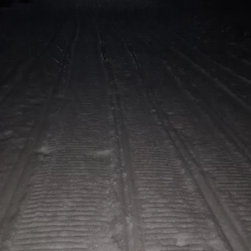 Удивительно, но факт: лыжня возле Арены обновляется до сих пор и по ней даже катаются