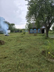 Дом в деревне