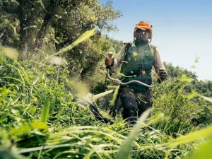 Покос травы, распил спил деревьев, благоустройство территории