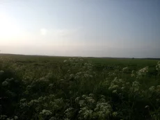 Дачный участок в тихом месте