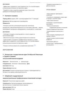 Руководитель