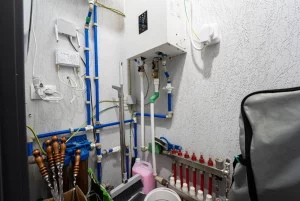 Малая Ольса - одно название на миллион