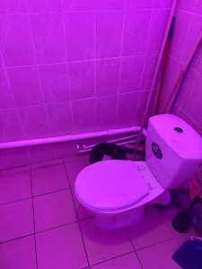 Совместная аренда в ТЦ дешево