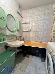 Однокомнатная квартира на улице Пушкина 270