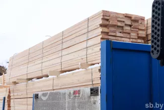 Бобруйский лесхоз внес вклад в рекордный экспорт Могилевского объединения