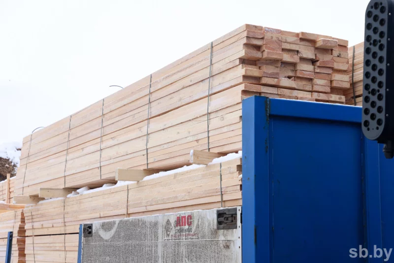 Бобруйский лесхоз внес вклад в рекордный экспорт Могилевского объединения