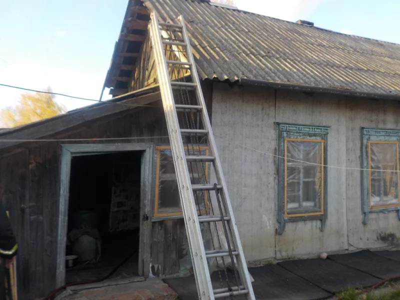 В деревне Ивановка Бобруйского района горел дом