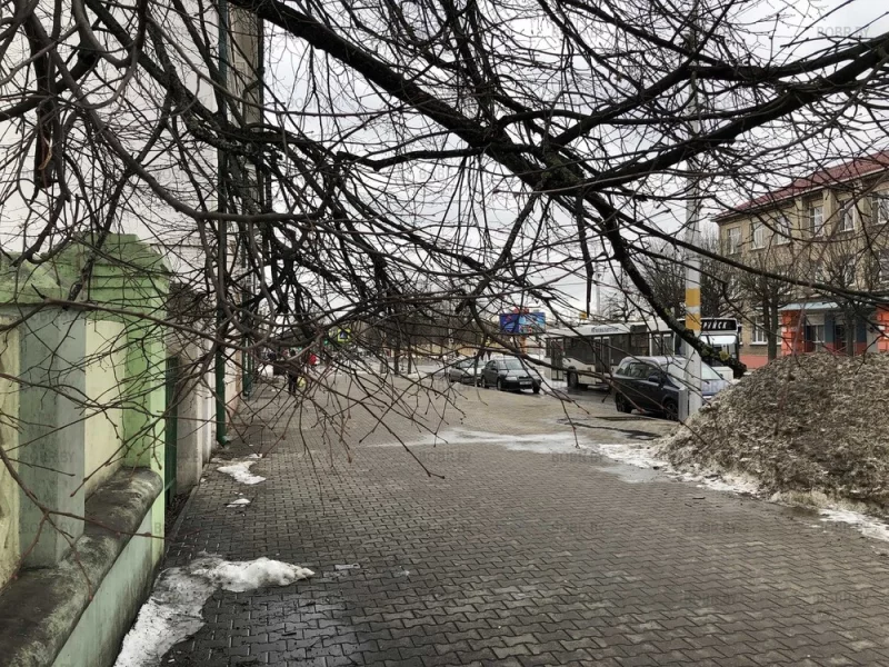 Без глаз остаться можно