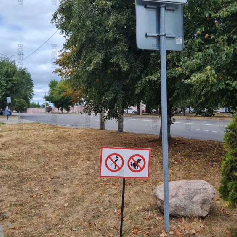 Дорожные знаки, в городе высокой культуры
