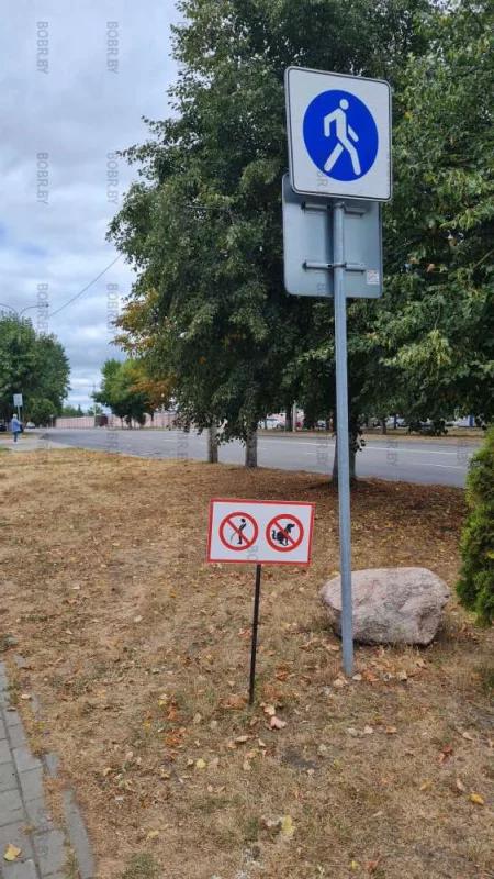 Дорожные знаки, в городе высокой культуры
