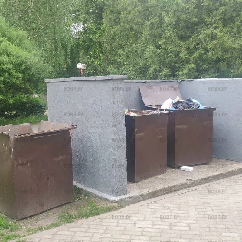 Контейнер для мусора на зелёной зоне. Интересно куда смотрит жэу и санстанция?