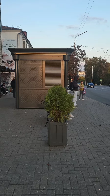 Обновили остановку и украсили деревом в кадке