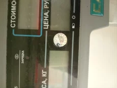 Весы торговые CAS ER 15 до 15 кг. рабочие, поверенные в 2025 г