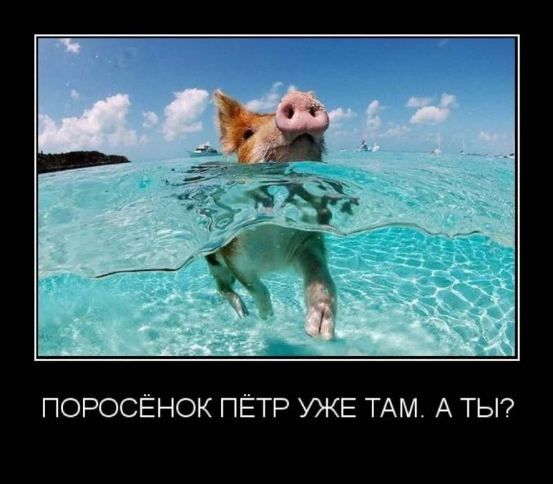 Гарантированная скидка 5% в два  клика!!!