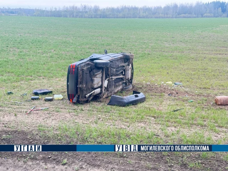 37-летний бобруйчанин на Volkswagen врезался в лося в Могилёвском районе: двое госпитализированы